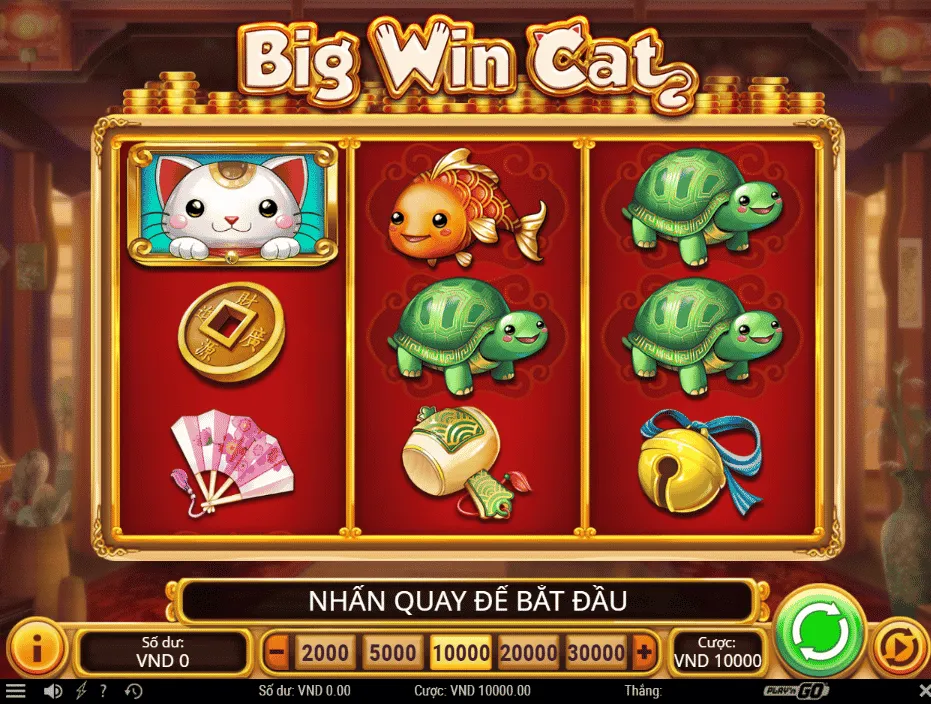 Big win cat