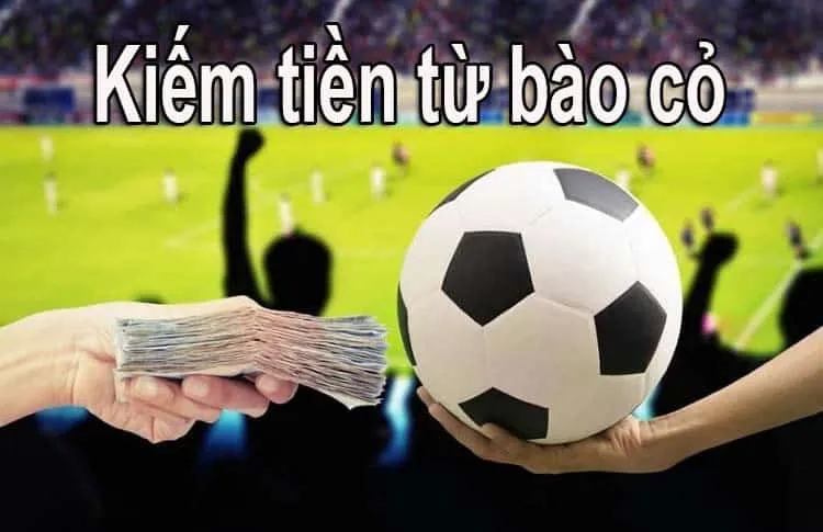 Các loại bào cỏ phổ biến hiện nay