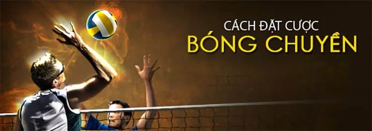 Cách đặt cược bóng chuyền k8