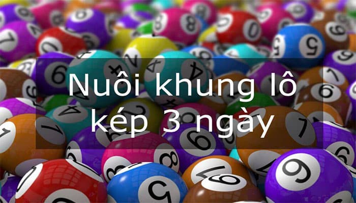 nuôi lô khung kép
