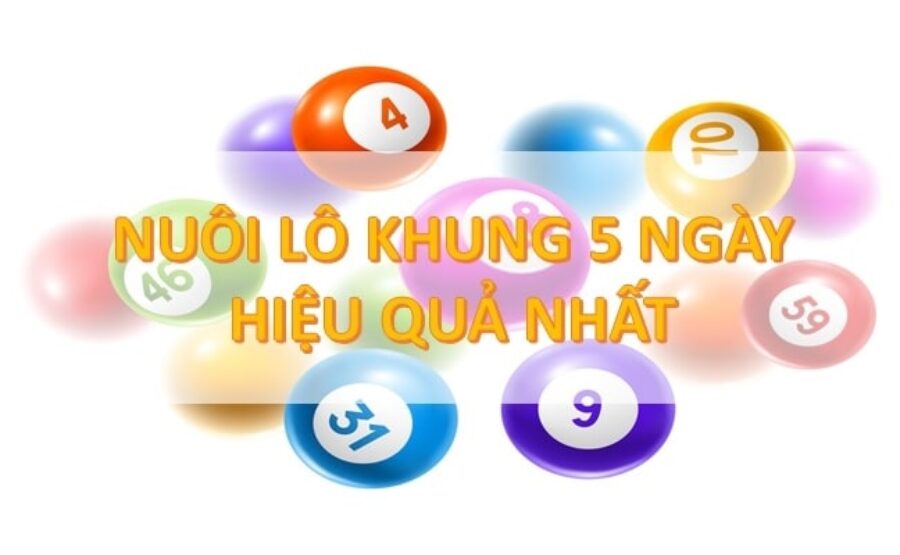 Cách nuôi lô khung hiệu quả nhất