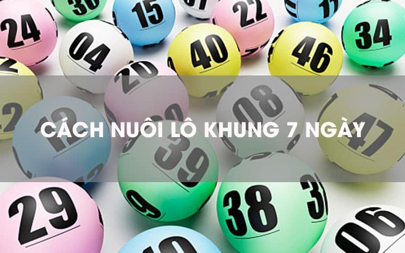 cách nuôi lô khung 7 ngày