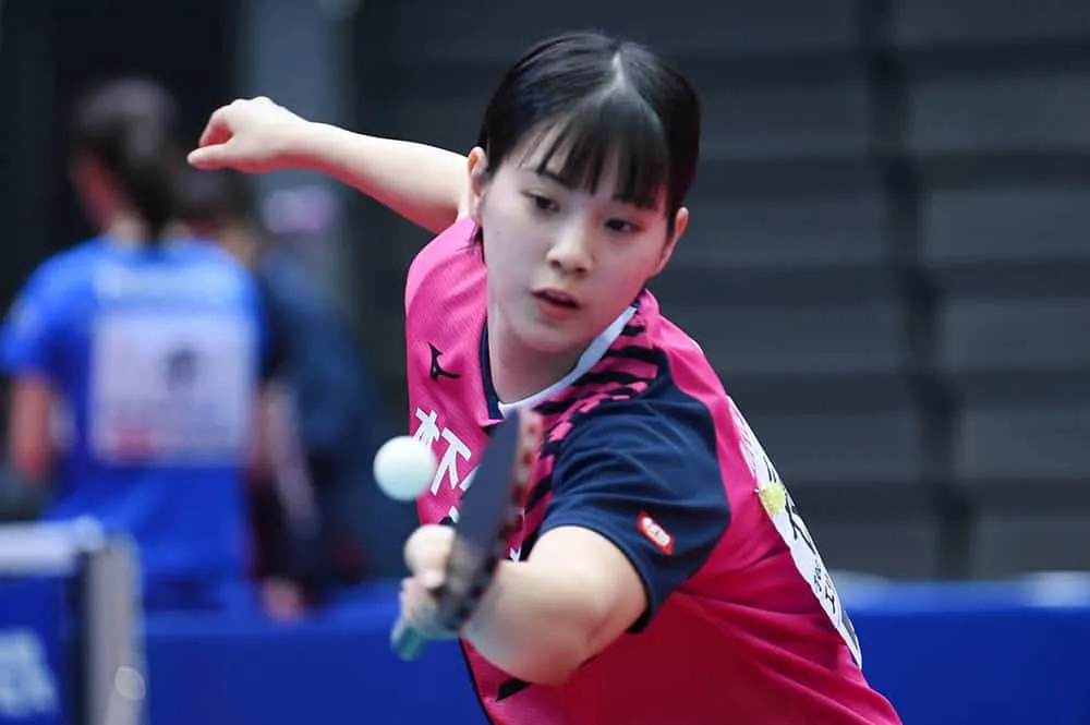 Lối chơi của các tay chơi bóng bàn