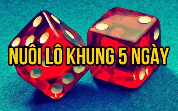 Nuôi lô khung 5 ngày