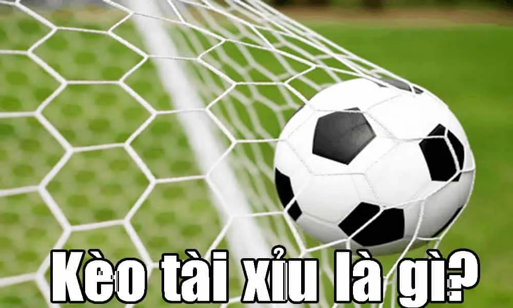Tìm hiểu về kèo tài xỉu