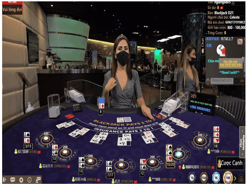 Bàn live blackjack