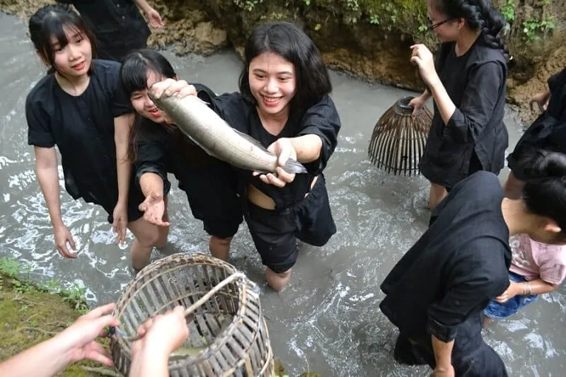 Mơ bắt được nhiều cá