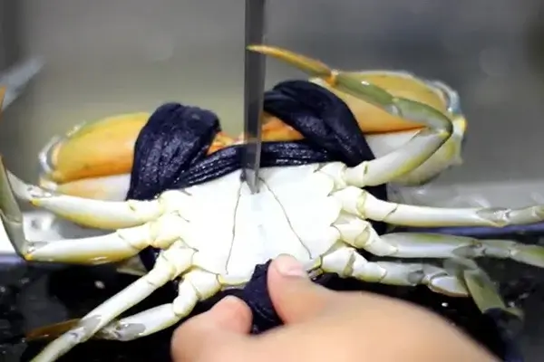 Mơ thấy cua chết