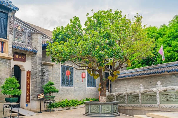 Mơ thấy cây mít trong sân nhà