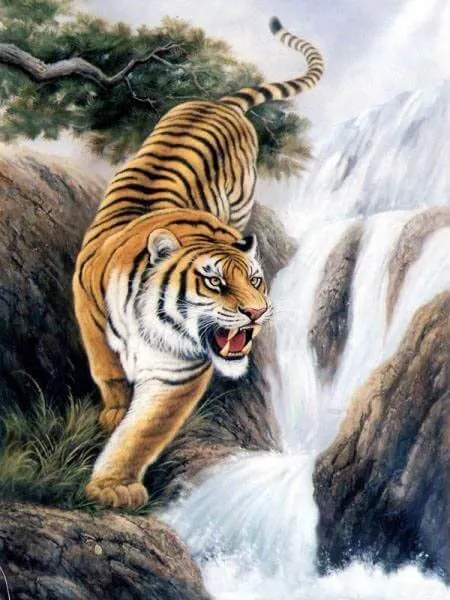 Mơ thấy cọp vồ