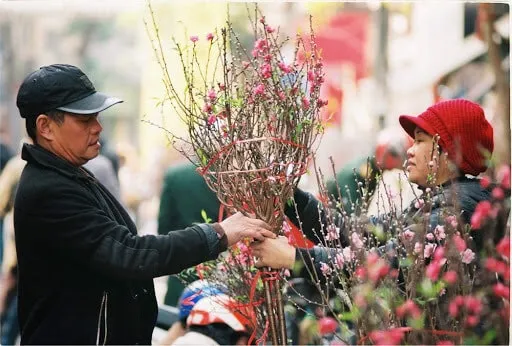 Chiêm bao thấy mua hoa đào về chưng Tết