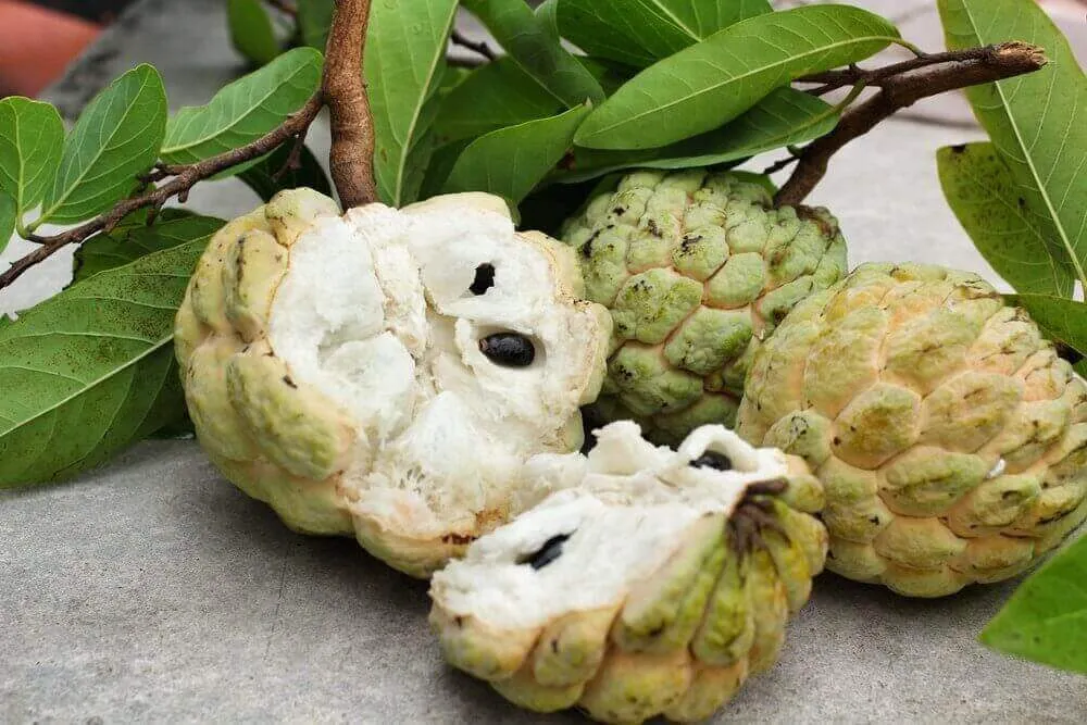Mơ thấy quả na chín