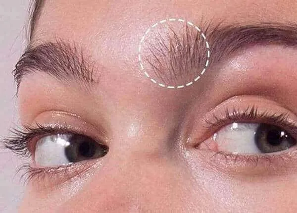 Chân mày giật đánh con gì