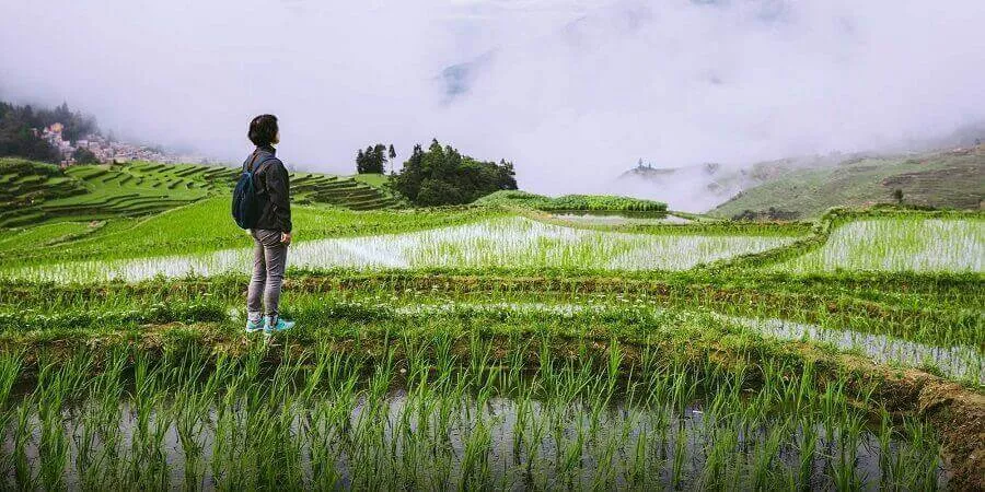 Chiêm bao thấy bản thân về quê