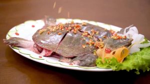 Mộng thấy ăn thịt ba ba
