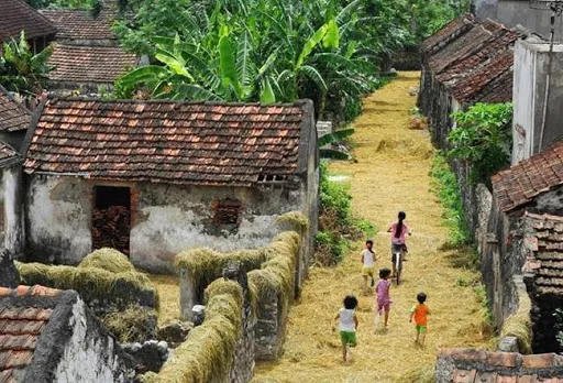 Mơ thấy vùng quê nghèo