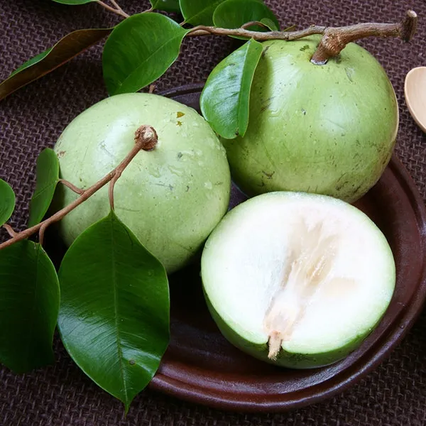Chiêm bao thấy trái vú sữa non 