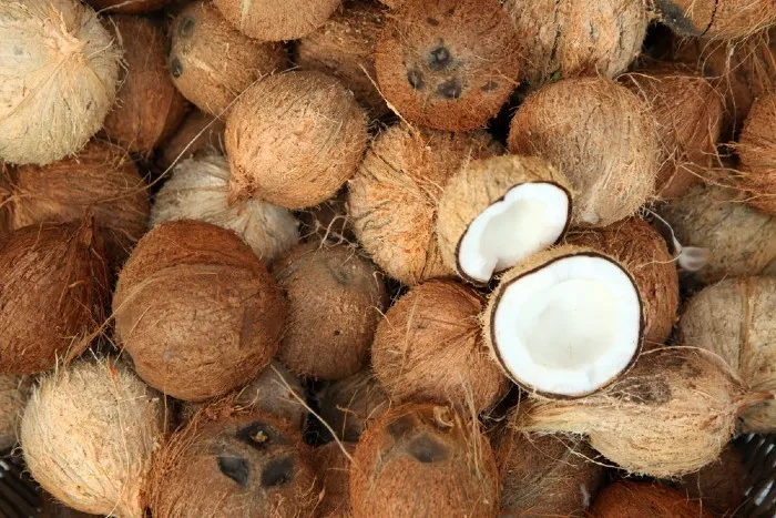 Mộng thấy dừa khô héo