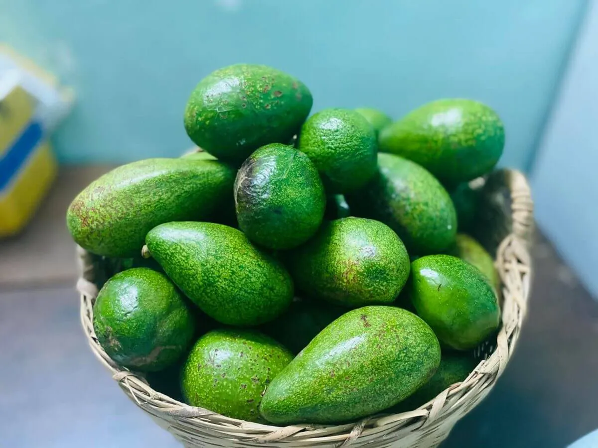 Mơ thấy quả bơ màu xanh