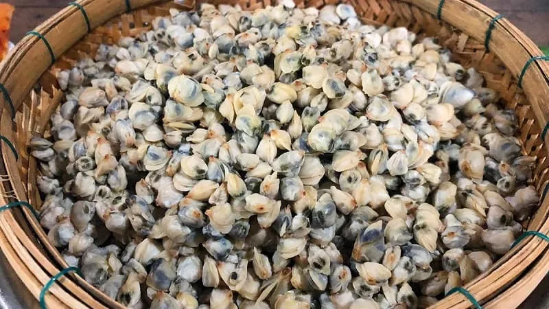 Chiêm bao thấy hến chết