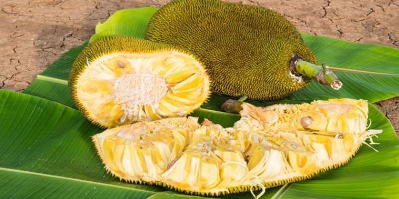 mộng gặp người thân ăn mít chín