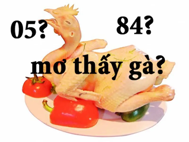 Mộng ăn thịt kê đánh con gì