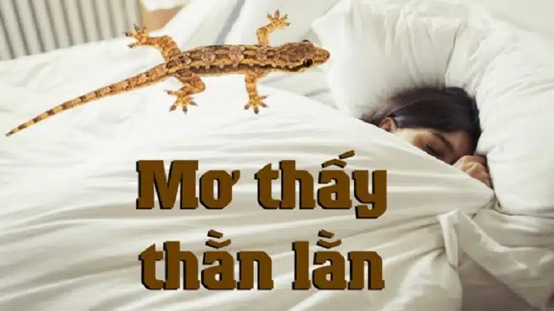 Nằm mơ thấy thằn lằn đánh con gì là thắng đậm