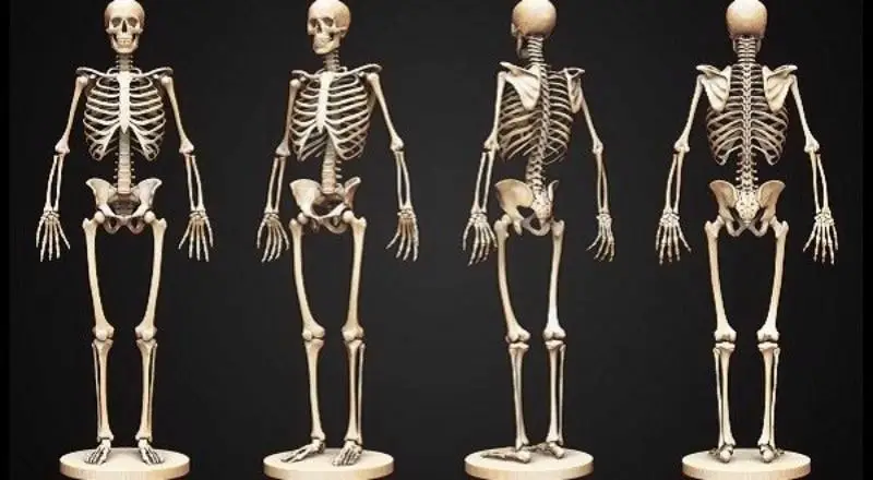  Nằm mơ thấy xương người