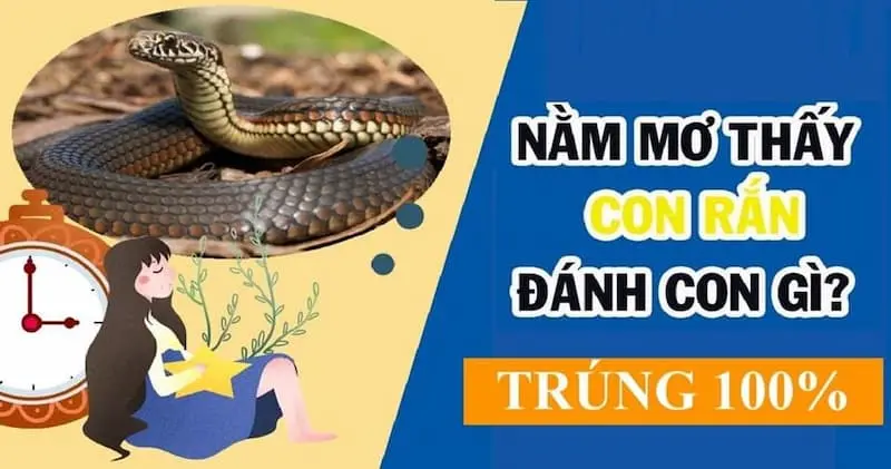 chiêm bao mãng xà ăn thịt đánh số mấy