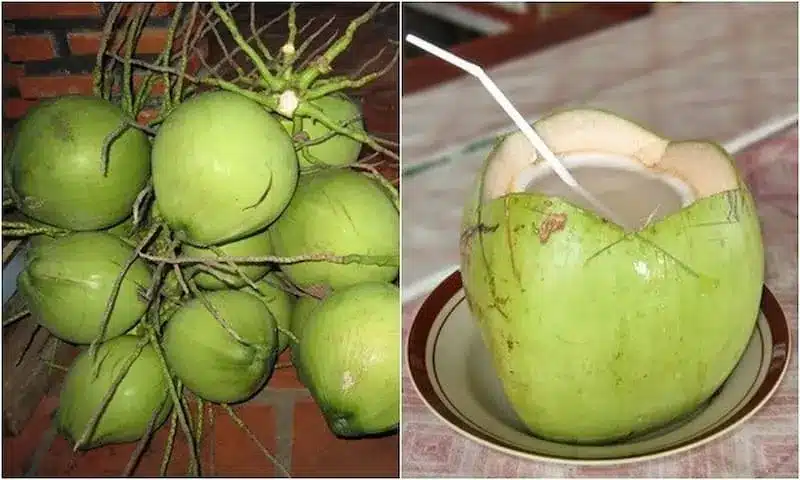 Xổ số K8