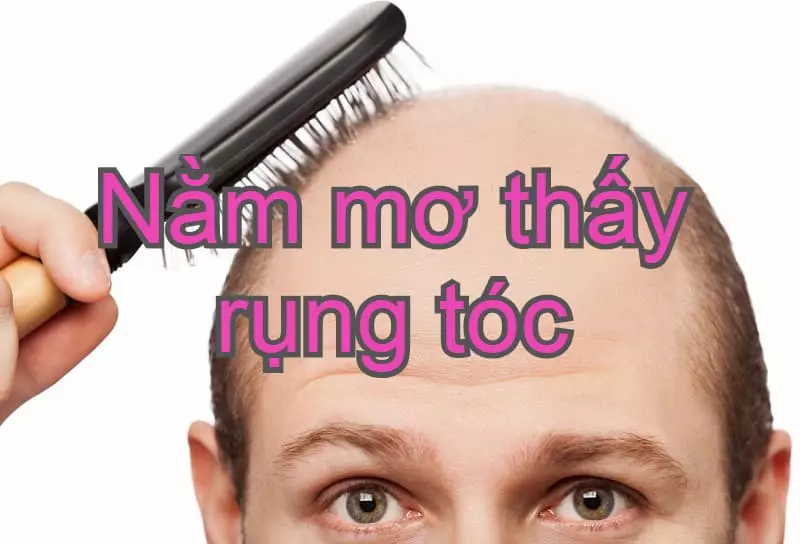 K8vina