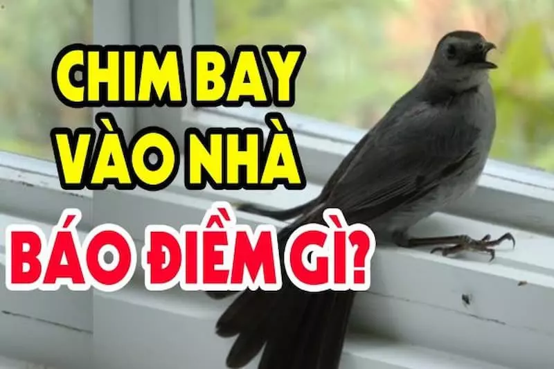 con chim sẻ số mấy