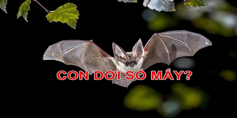 Con dơi số mấy - Nằm mơ thấy dơi là điềm báo gì 