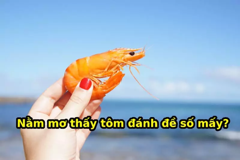 Mộng thấy nhiều người ăn tôm