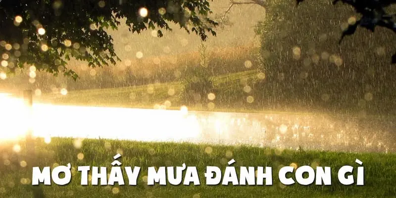 nằm mơ thấy trời mưa đánh số gì