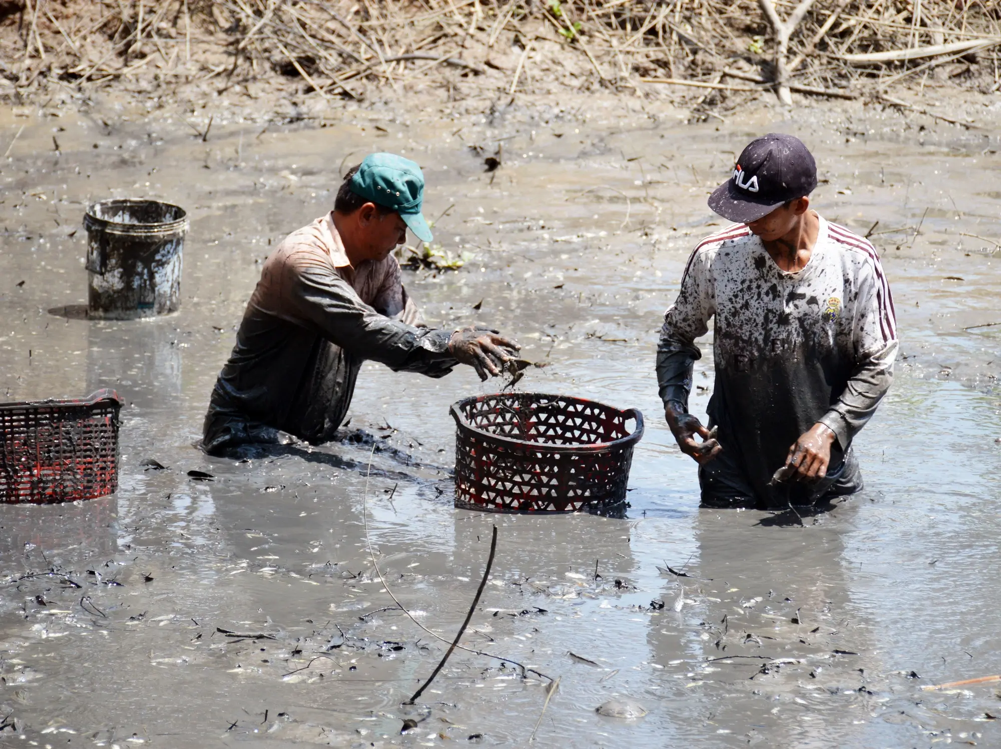 Chiêm bao thấy lội nước bắt cá