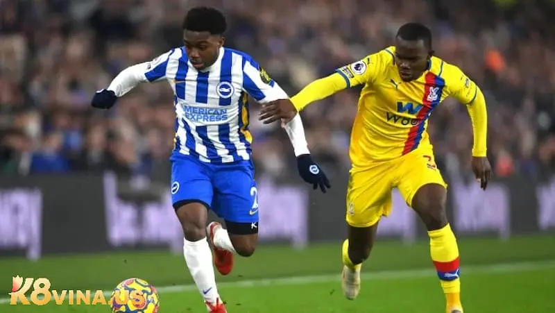 Thông tin lực lượng Brighton vs Crystal Palace